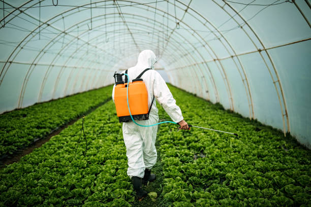 Pest Control Cost in Clay City, KY