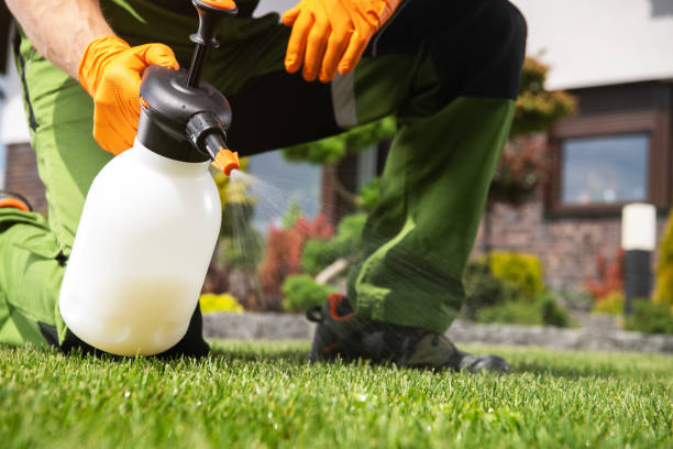 Best Residential Pest Control  in Clay City, KY