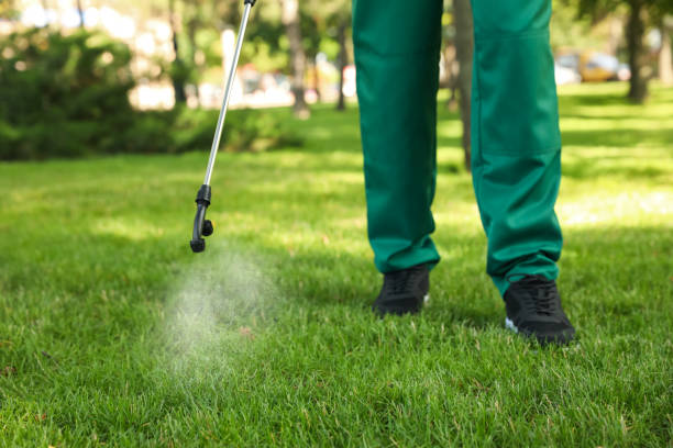 Best Best Pest Control Companies  in Clay City, KY