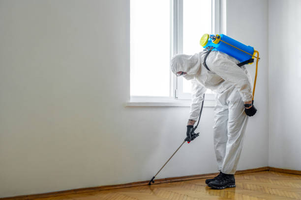 Best Residential Pest Control  in Clay City, KY