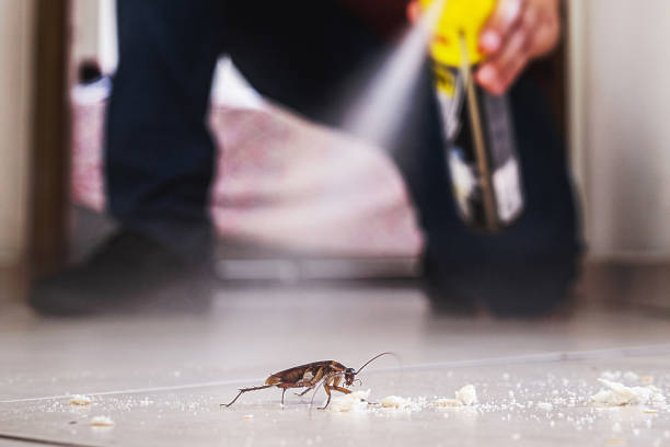 Best Local Pest Control Services  in Clay City, KY
