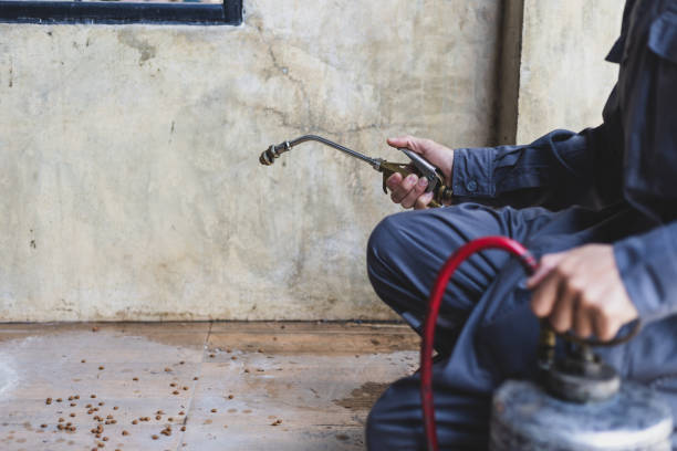 Best Mosquito Control Services  in Clay City, KY